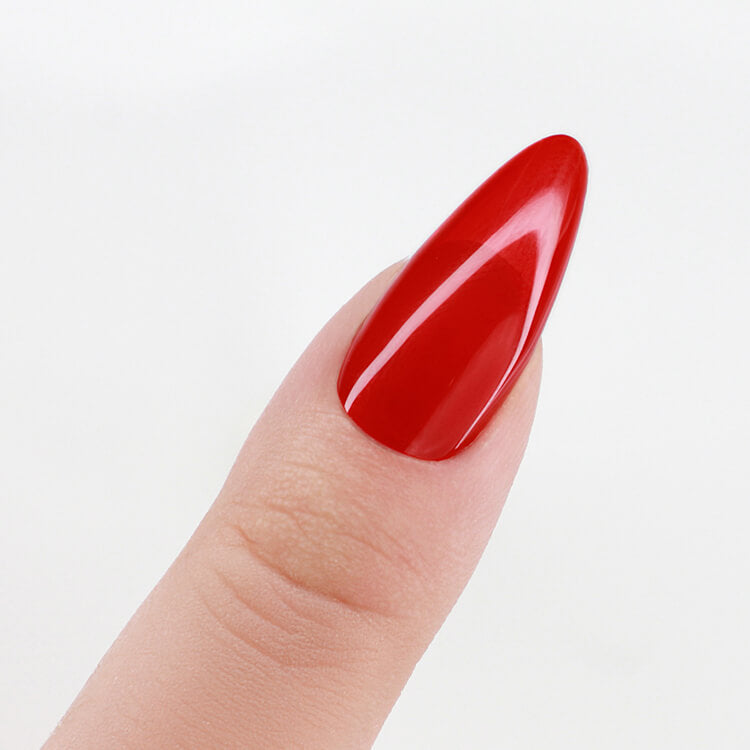 LeChat Perfect Match 3in1 Powders Pro Number One Fan - #PROP047