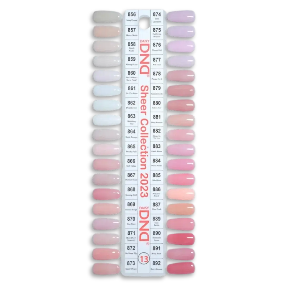 DND-Single Sheer Collection 36pcs