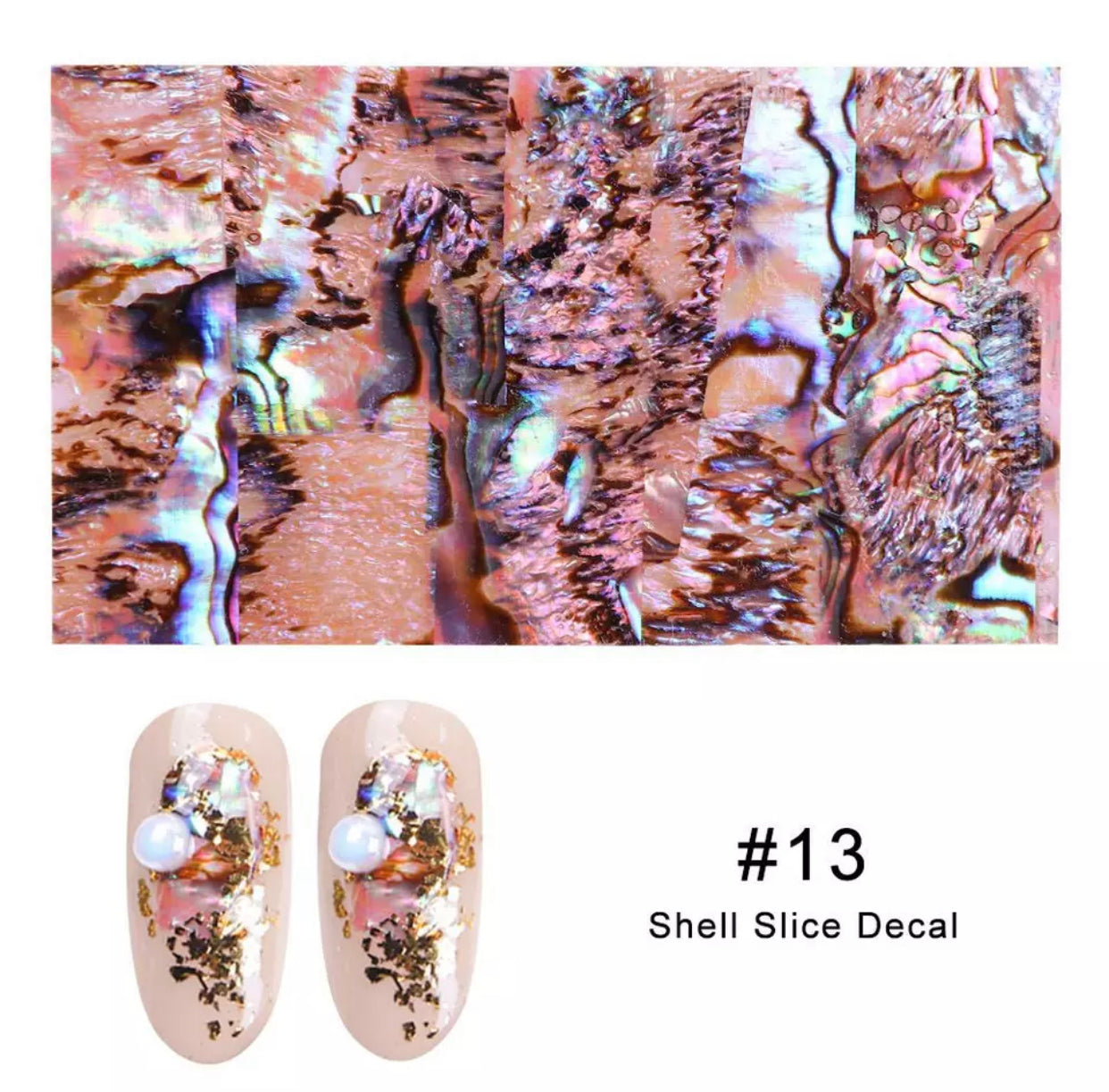 Orange Mable Seashell - Individual Pack #13 - Premier Nail Supply