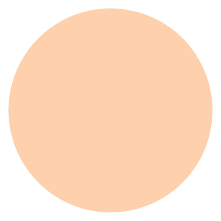 Gelee 3 in 1 Powder - Peach Pleasure 1.48 oz - #GCP17 - Premier Nail Supply