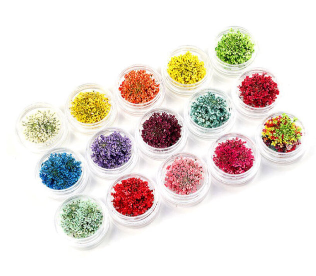 Lechat - Nail Art Dries flower - #1497 - Premier Nail Supply