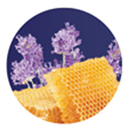 Triple X Brands Deluxe Premium 4 in 1 Pedi Spa Lavender Honey - Premier Nail Supply
