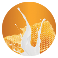 Triple X Brands Deluxe Premium 4 in 1 Pedi Spa Milk + Honey - Premier Nail Supply