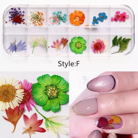 Dried Natural Flowers Mix 12 Different Color - Style F - Premier Nail Supply
