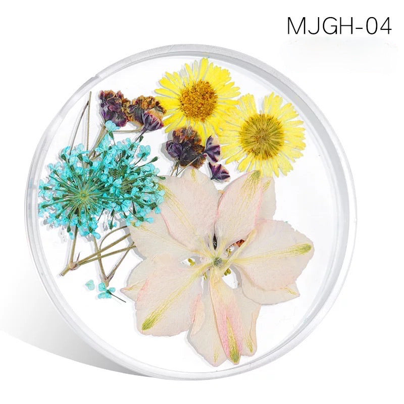 Dried Natural Flowers Mix  Different Color - MJGH204 - Premier Nail Supply