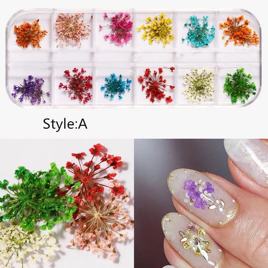 Dried Natural Flowers Mix 12 Different Color - Style A - Premier Nail Supply