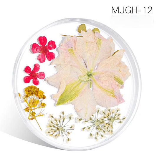 Dried Natural Flowers Mix  Different Color - MJGH212 - Premier Nail Supply