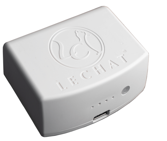 Incure Lamp Battery SKU #LCLB19 - Premier Nail Supply