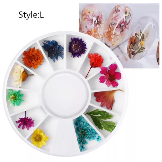 Dried Natural Flowers Mix 12 Different Color - Style L - Premier Nail Supply