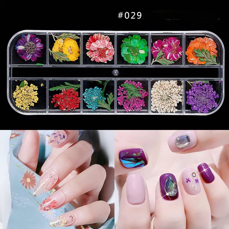 Dried Natural Flowers Mix 12 Different Color - 029 - Premier Nail Supply