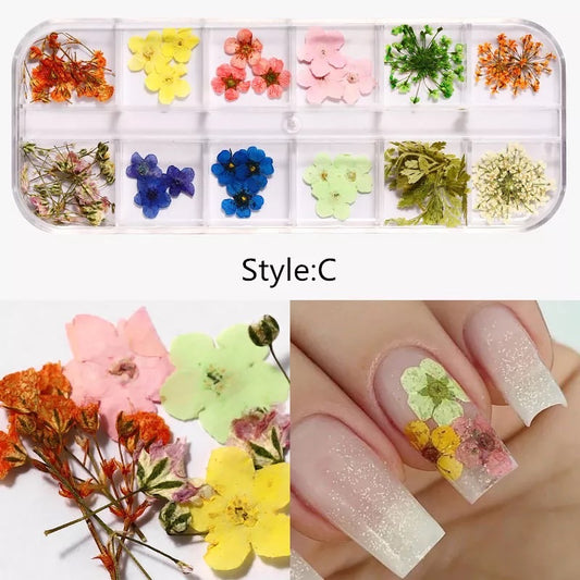 Dried Natural Flowers Mix 12 Different Color - Style C - Premier Nail Supply