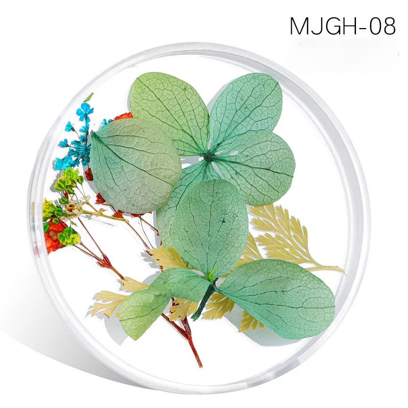 Dried Natural Flowers Mix Different Color - MJGH208 - Premier Nail Supply