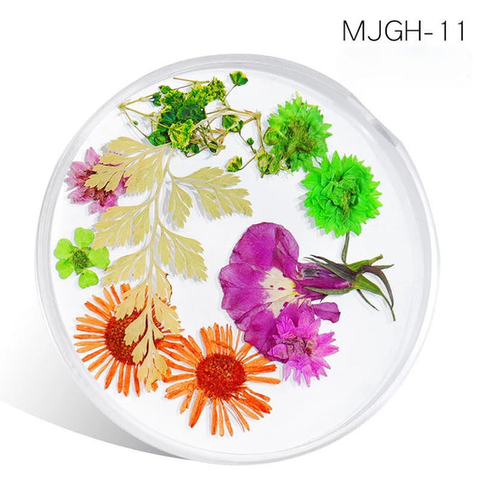 Dried Natural Flowers Mix  Different Color - MJGH211 - Premier Nail Supply