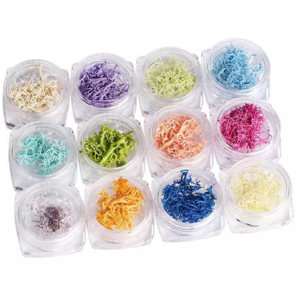 Dried Corals Reef Nail Designs DCR12 - Premier Nail Supply
