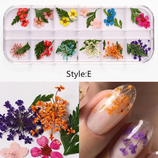Dried Natural Flowers Mix 12 Different Color - Style E - Premier Nail Supply