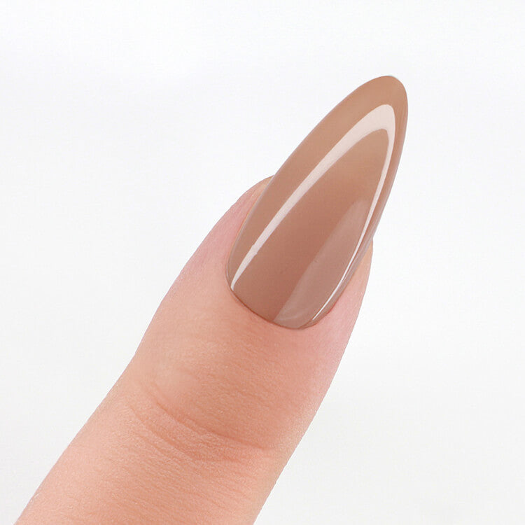 LeChat Perfect Match 3in1 Powders Sticky Bun - #PROP012