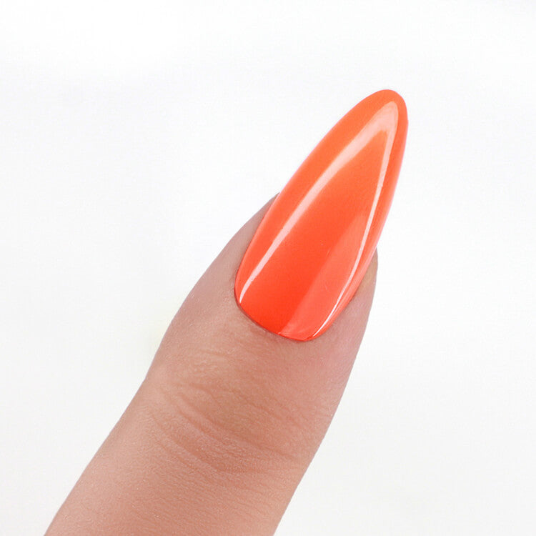 LeChat Perfect Match 3in1 Powders West Sunrise - #PROP028