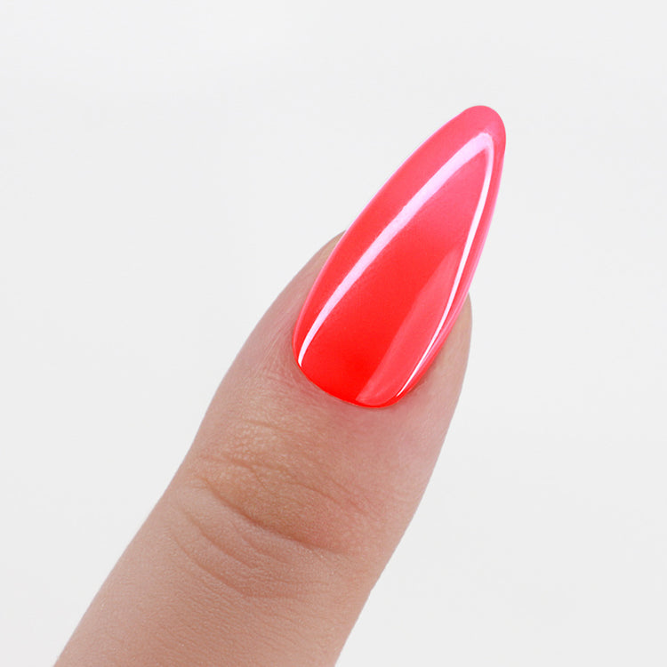 LeChat Perfect Match 3in1 Powders Pro Great Vibes - #PROP043