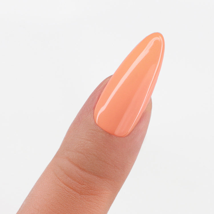 LeChat Perfect Match 3in1 Powders Pro Apricot Splash - #PROP062
