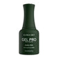 Kiara sky Gel Pro Hema - Pine-ing For Me