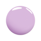 Lilac Lace