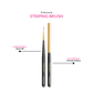 Professional Striping Nail Brush