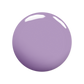 French Lilac