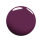 Plum Rose