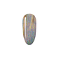 Holo Night