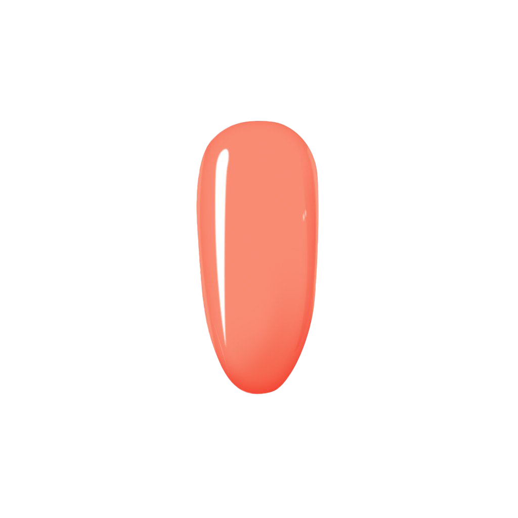 Gentle Coral