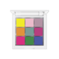 Tropical Pigment Palette