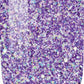 Lechat Perfect Match Dip Powder - Violet Vixen 1.48 oz - #PMDP136