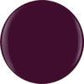 Gelish Gelcolor - Plum And Done 0.5 oz - #1110866 - Premier Nail Supply 