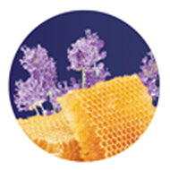 Triple X Brands Deluxe Premium 4 in 1 Pedi Spa Lavender Honey - Premier Nail Supply 