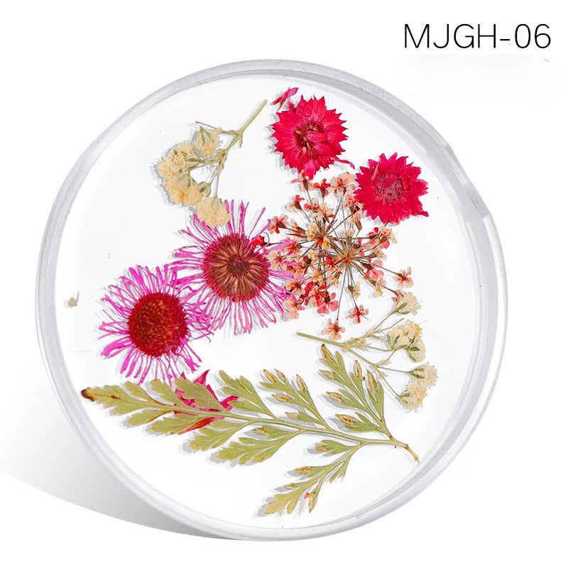 Dried Natural Flowers Mix  Different Color - MJGH206 - Premier Nail Supply 
