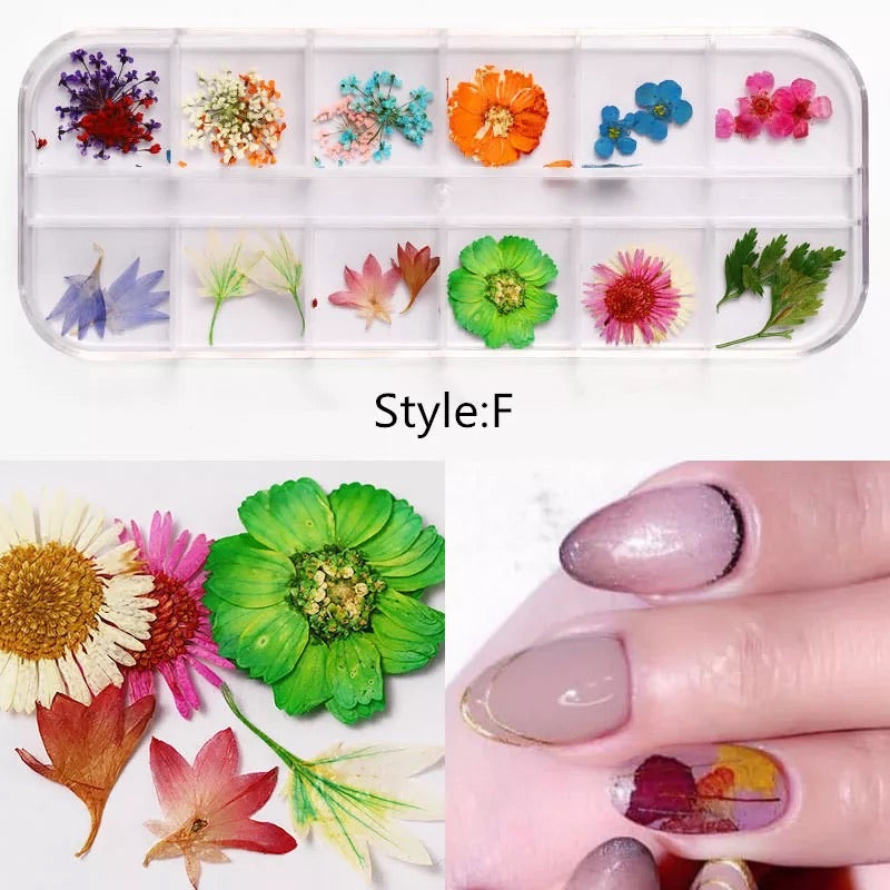 Dried Natural Flowers Mix 12 Different Color - Style F - Premier Nail Supply 