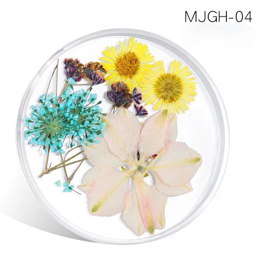 Dried Natural Flowers Mix  Different Color - MJGH204 - Premier Nail Supply 