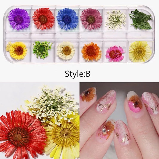Dried Natural Flowers Mix 12 Different Color - Style B - Premier Nail Supply 
