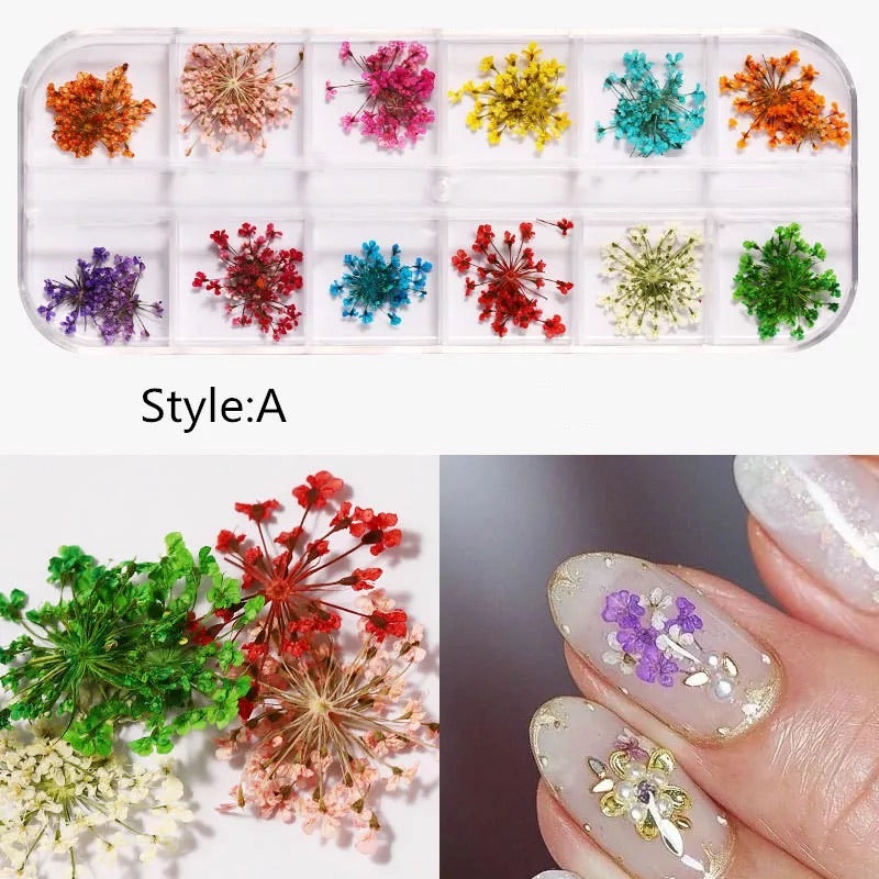 Dried Natural Flowers Mix 12 Different Color - Style A - Premier Nail Supply 