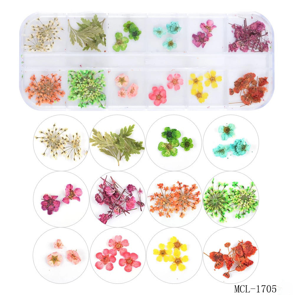 Dried Flowers MCL1705 - Premier Nail Supply 