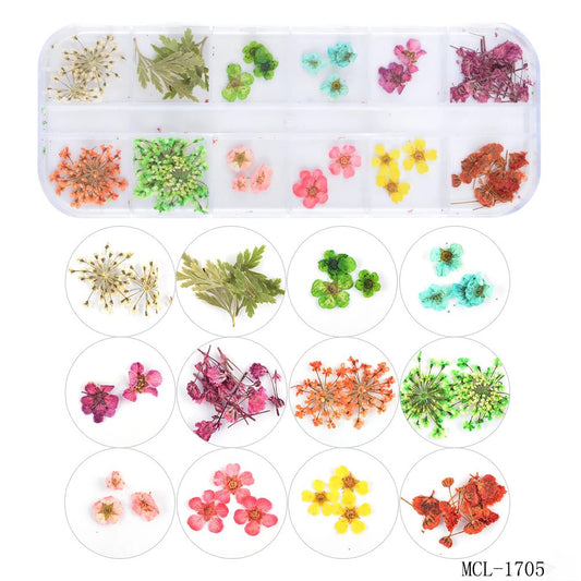 Dried Flowers MCL1705 - Premier Nail Supply 