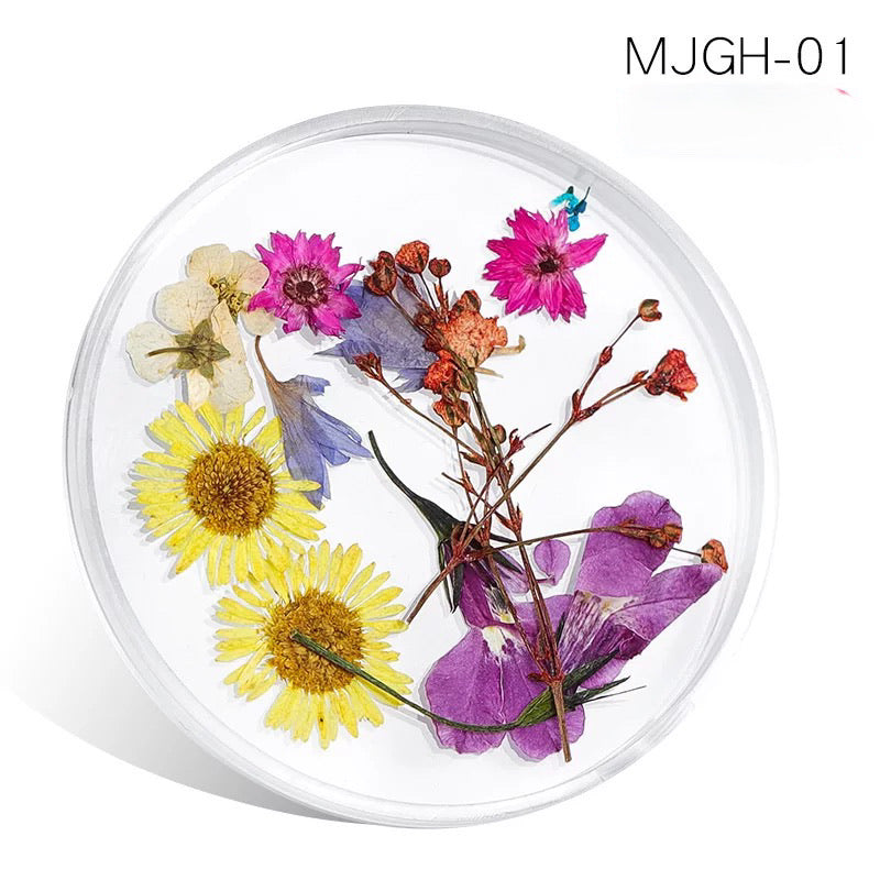 Dried Natural Flowers Mix  Different Color - MJGH201 - Premier Nail Supply 