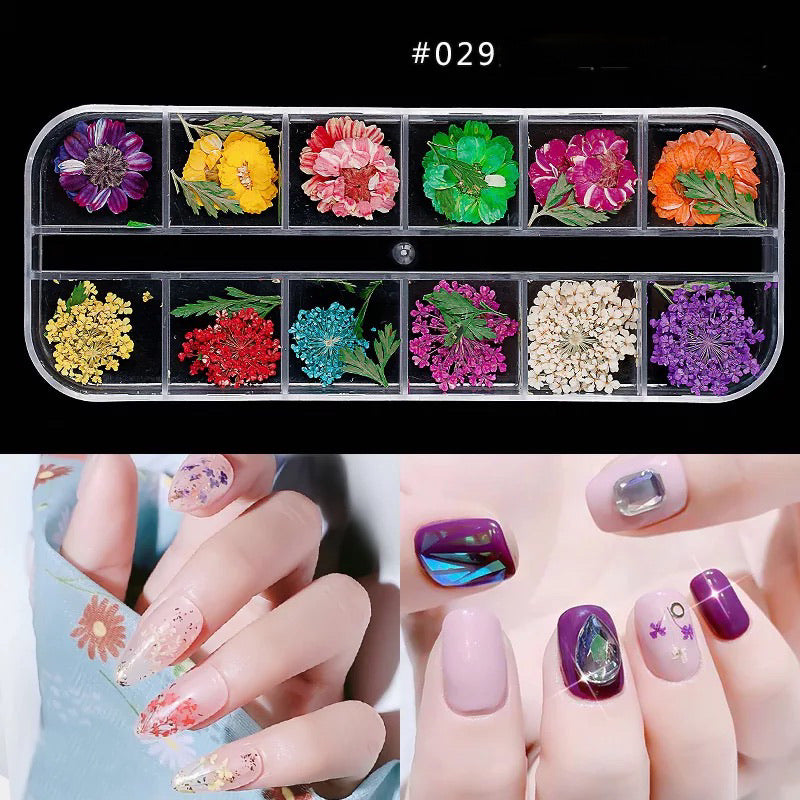 Dried Natural Flowers Mix 12 Different Color - 029 - Premier Nail Supply 