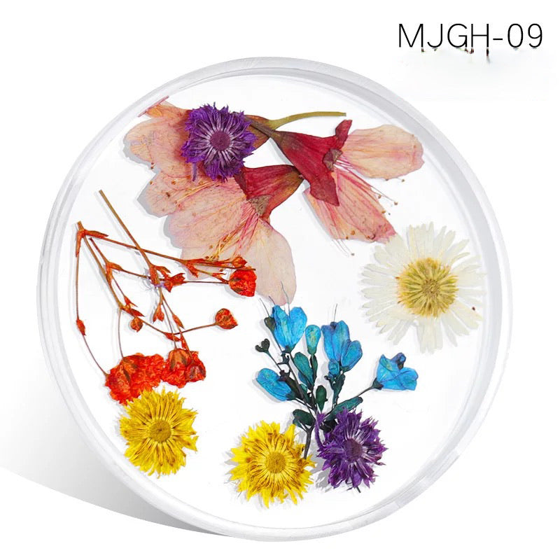 Dried Natural Flowers Mix  Different Color - MJGH209 - Premier Nail Supply 