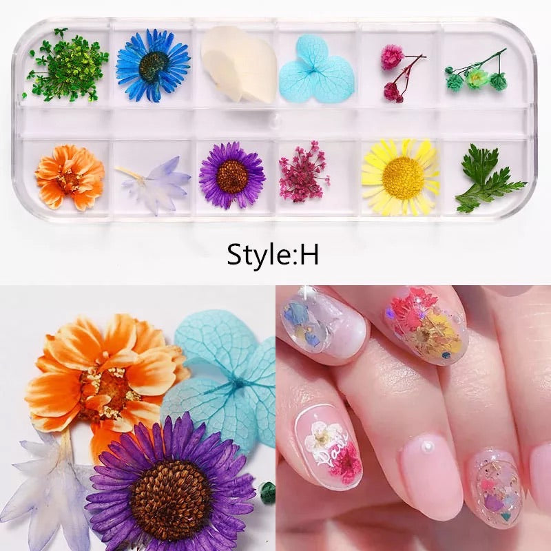 Dried Natural Flowers Mix 12 Different Color - DNF-H - Premier Nail Supply 
