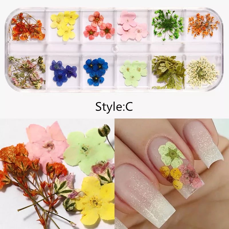 Dried Natural Flowers Mix 12 Different Color - Style C - Premier Nail Supply 