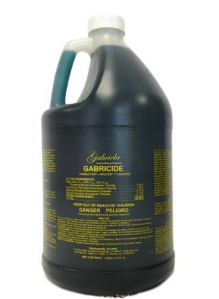 Gabriela - Spa Disinfectant & Sanitizer 1gallon - Premier Nail Supply 