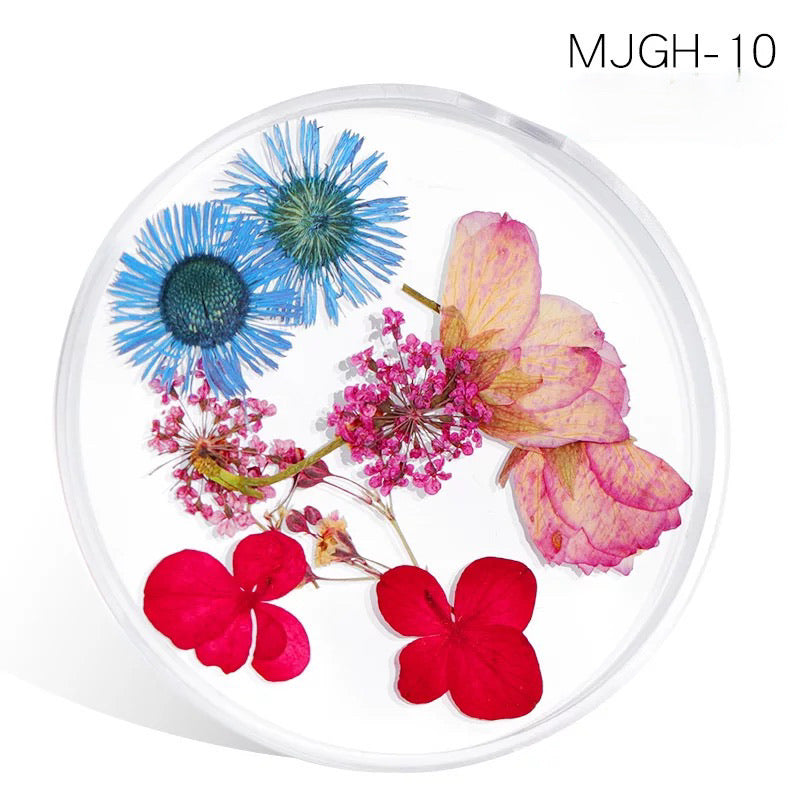 Dried Natural Flowers Mix  Different Color - MJGH210 - Premier Nail Supply 
