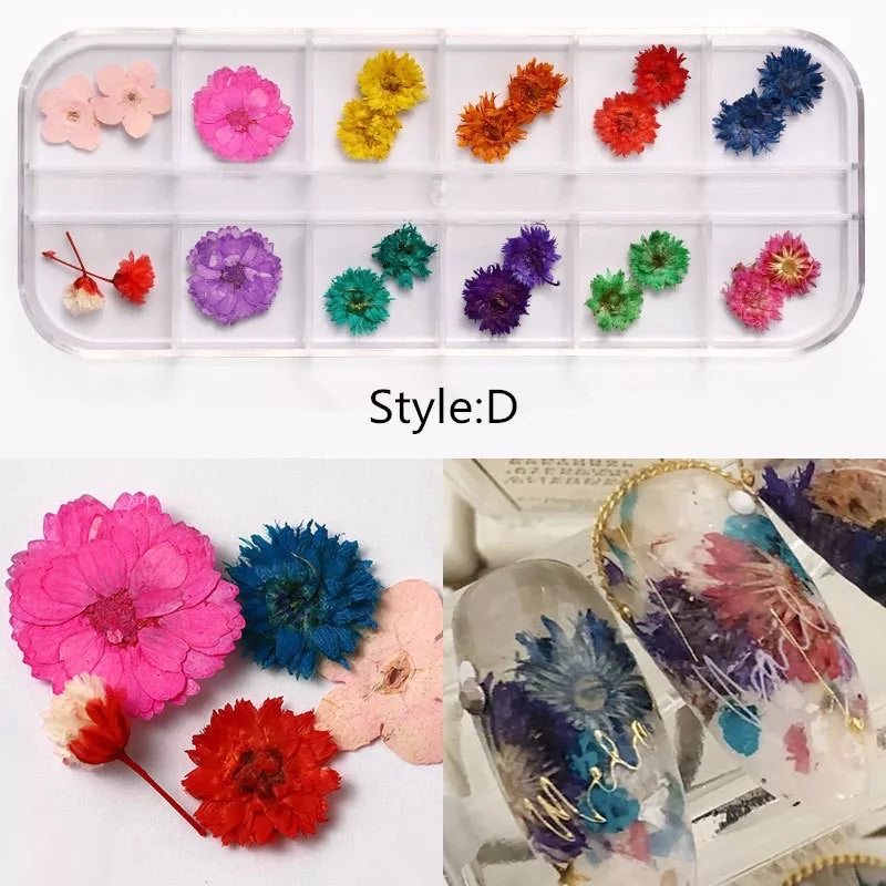 Dried Natural Flowers Mix 12 Different Color - Style D - Premier Nail Supply 