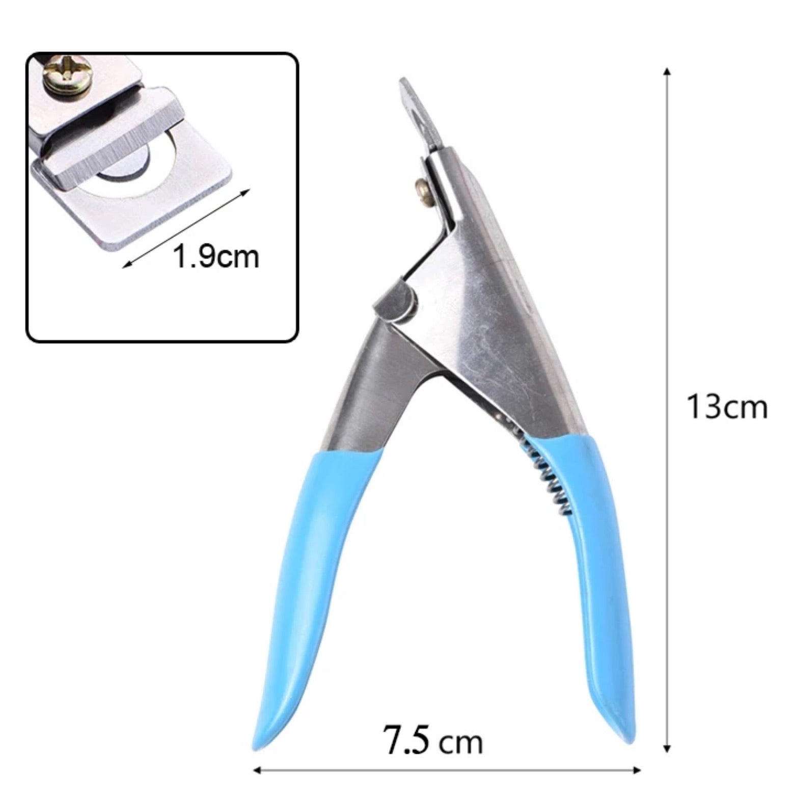 The Edge Cutter Stainless Steel - EC889 - Premier Nail Supply 